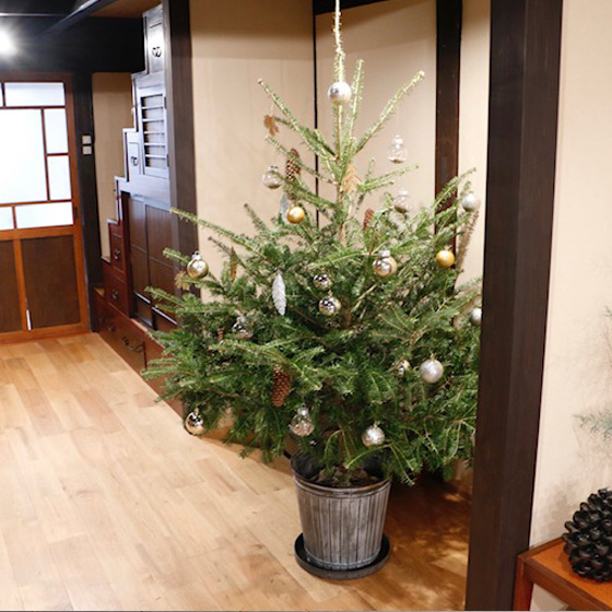 クリスマスツリー