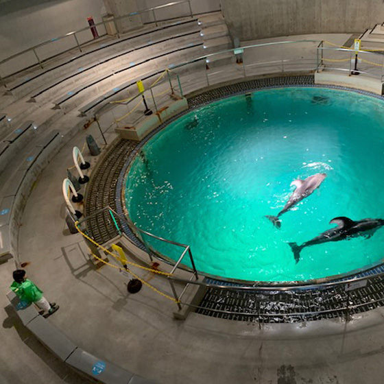 マリンワールド